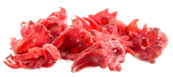 astaxanthine